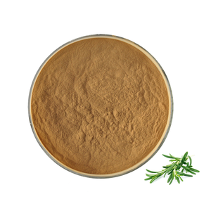 Natural Rosemary Extract Powder