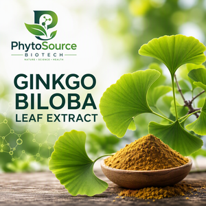 Natural Ginkgo Biloba Leaf Extract 24 6 Flavone Glycosides