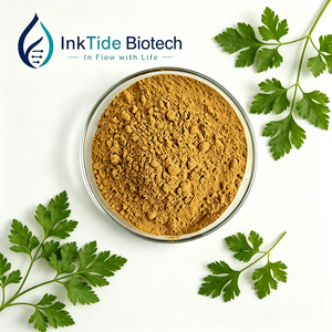 Bulk Parsley Leaf Extract Powder