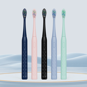Compact Oral Massage Electric Toothbrush